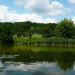 Exhibit of animals of Africa