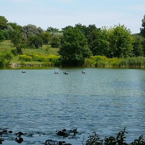 Exhibit of animals of Africa