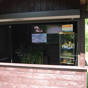 Transmission from Beehive