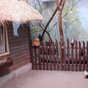 One of exposition in Bird House with domestic birds