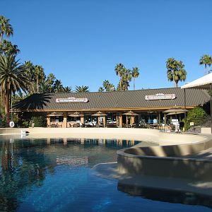 Dolphin Habitat - Main Pool