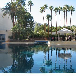 Dolphin Habitat - Main Pool