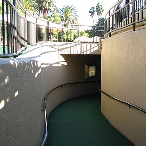 Dolphin Habitat - Underwater Viewing Entrance