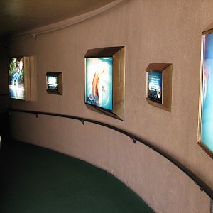 Dolphin Habitat - Underwater Viewing Entrance