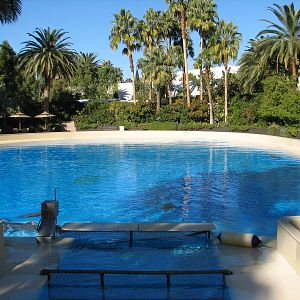 Dolphin Habitat - Birth and Research Pool
