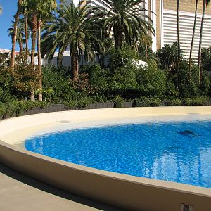 Dolphin Habitat - Birth and Research Pool