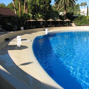 Dolphin Habitat - Birth and Research Pool