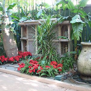 Secret Garden - Entrance Area