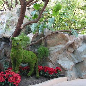 Secret Garden - Entrance Area