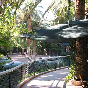 Secret Garden - Alpaca Exhibit Viewing Area