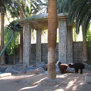 Secret Garden - Alpaca Exhibit