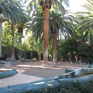 Secret Garden - Alpaca Exhibit