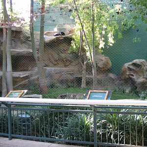 Secret Garden - Leopard Exhibit