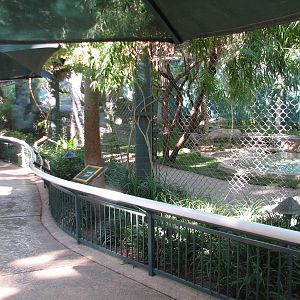 Secret Garden - Lion Exhibit Viewing Area