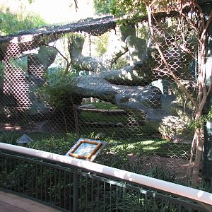 Secret Garden - Lion Exhibit Viewing Area