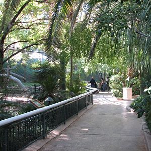 Secret Garden - Tiger Exhibit 1 Viewing Area