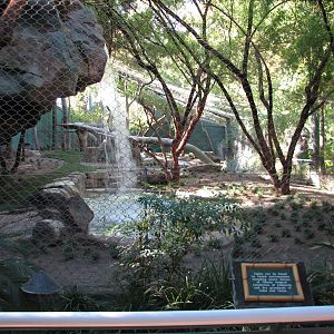 Secret Garden - Tiger Exhibit 1