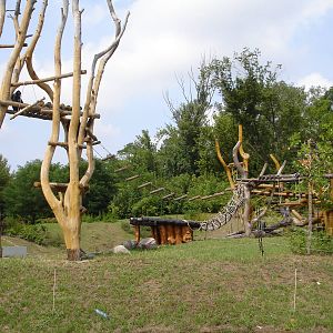 Outdoor enclosure for the Chimpanzees