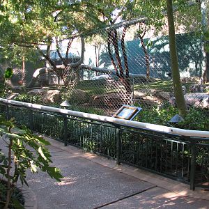 Secret Garden - Tiger Exhibit 3