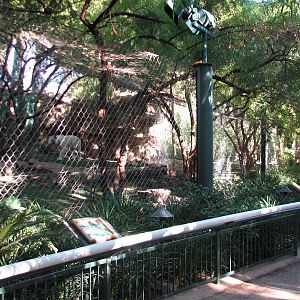 Secret Garden - Tiger Exhibit 4