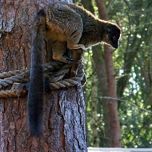wildlife park 094 julie