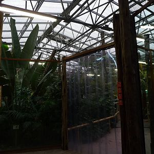 Inside Madagascar House