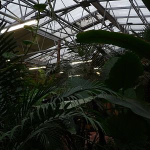 Inside Madagascar House