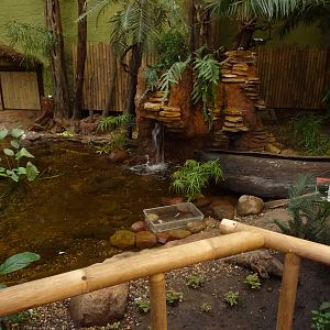 Inside Madagascar House