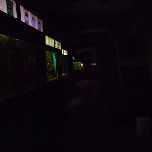 Inside Aquarium