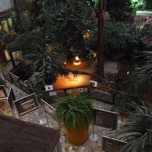 Inside Vivarium