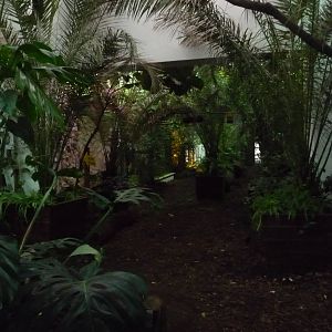 Inside Monkey House