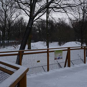 Exhibit for Brown Bears