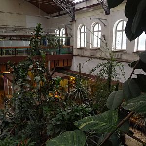 Inside Reptile House