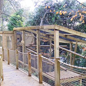Common squirrel monkey enclosure at Shaldon Zoo, 28 December 2010