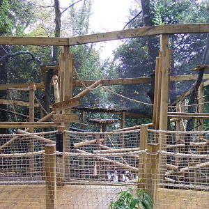 Part of ring-tailed lemur outdoor enclosure at Shaldon Zoo, 28 December 201