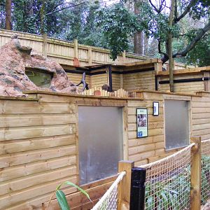 View of meerkat enclosure at Shaldon Zoo, 28 December 2010