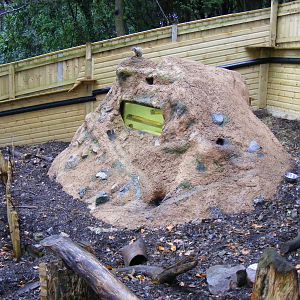 Meerkat enclosure at Shaldon Zoo, 28 December 2010