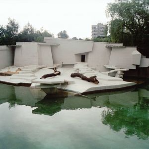 Cologne Zoo 1999 - Empty Polar Bear exhibit