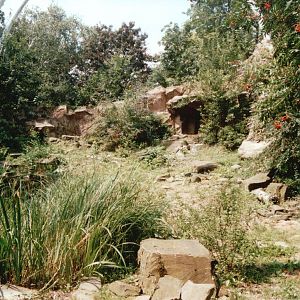 Cologne Zoo 2002 - Snow Leopard exhibit