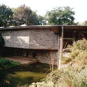 Cologne Zoo 2002 - Cat House