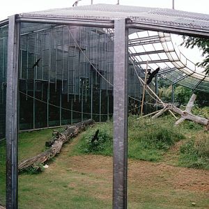 Cologne Zoo 2002 - Part of the Gorilla outdoor exhibit at the Ape House