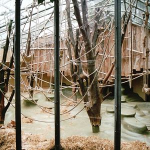 Cologne Zoo 2002 - Indoor exhibit in the Ape House