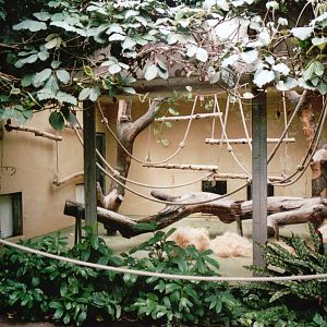Cologne Zoo 2002 - Another ndoor exhibit in the Ape House