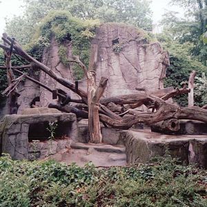 Frankfurt Zoo 1999 - Sloth Bear exhibit