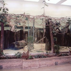 Frankfurt Zoo 1999 - Indoor Ape exhibit
