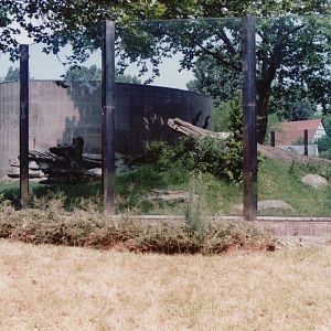 Frankfurt Zoo 1999 - Front of the Gorilla outdoor exhibit