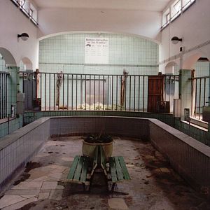 Frankfurt Zoo 1999 - Inside the Pachyderm building