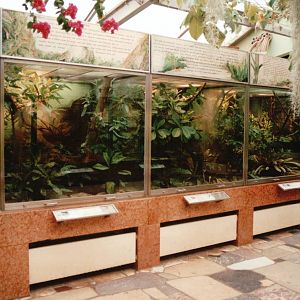 Frankfurt Zoo 2002 - General view inside the Exotarium