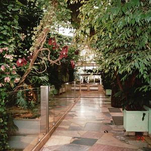Frankfurt Zoo 2002 - General view inside the Exotarium