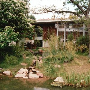 Frankfurt Zoo 2002 - Part of the new Sumatran Tiger exhibit